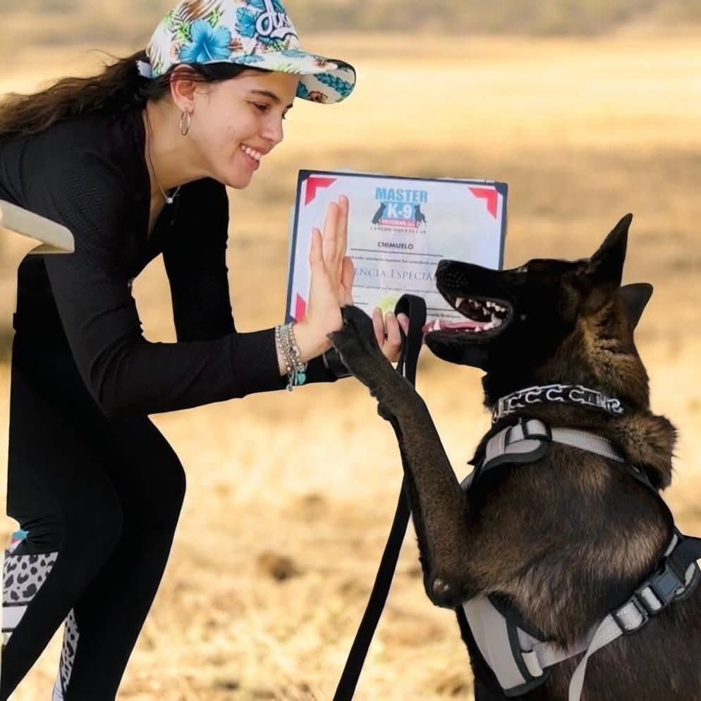 Una mujer y su perro chocan las manos durante un momento de entrenamiento de Master K-9