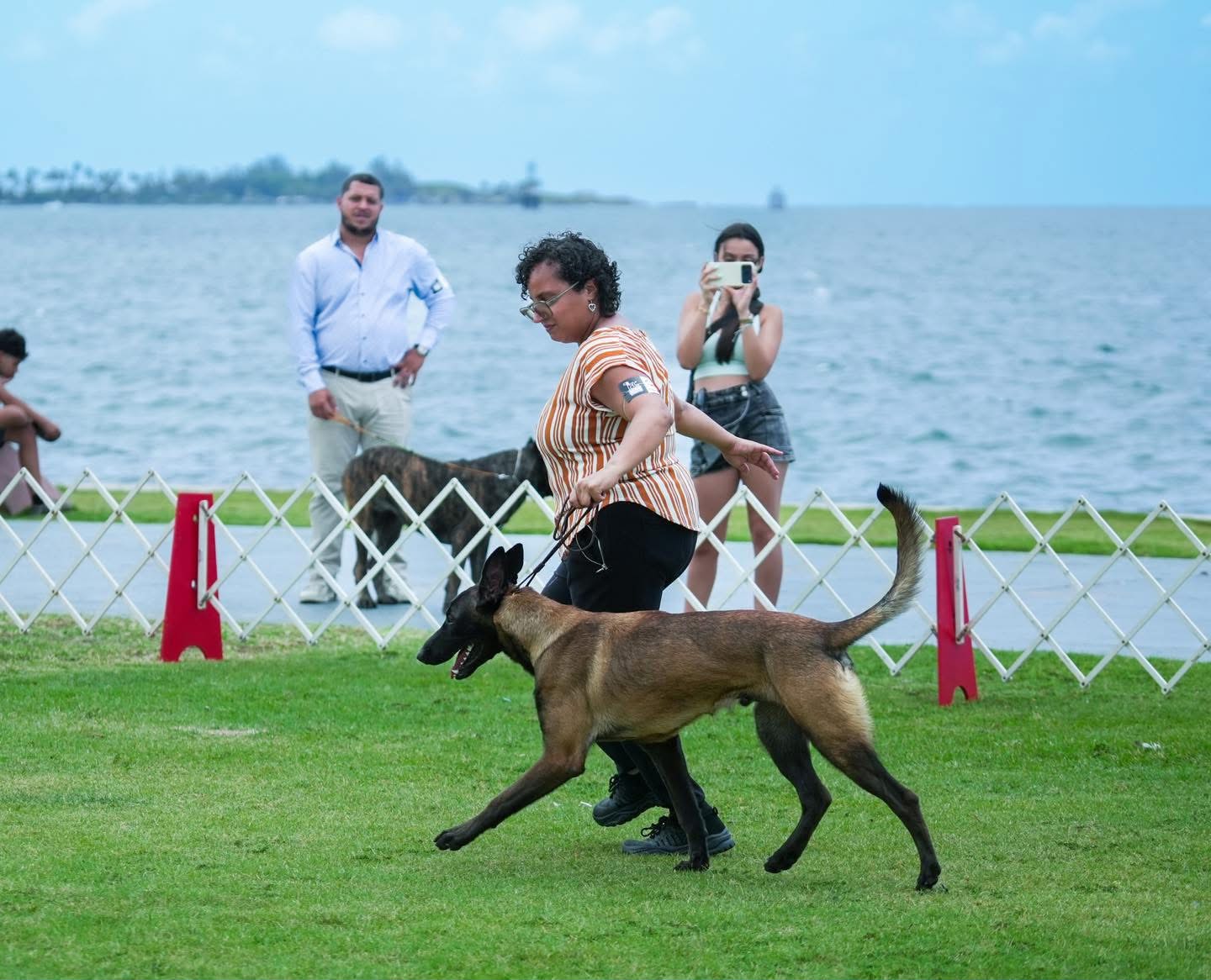 Una guía camina junto a su perro en un evento frente al mar