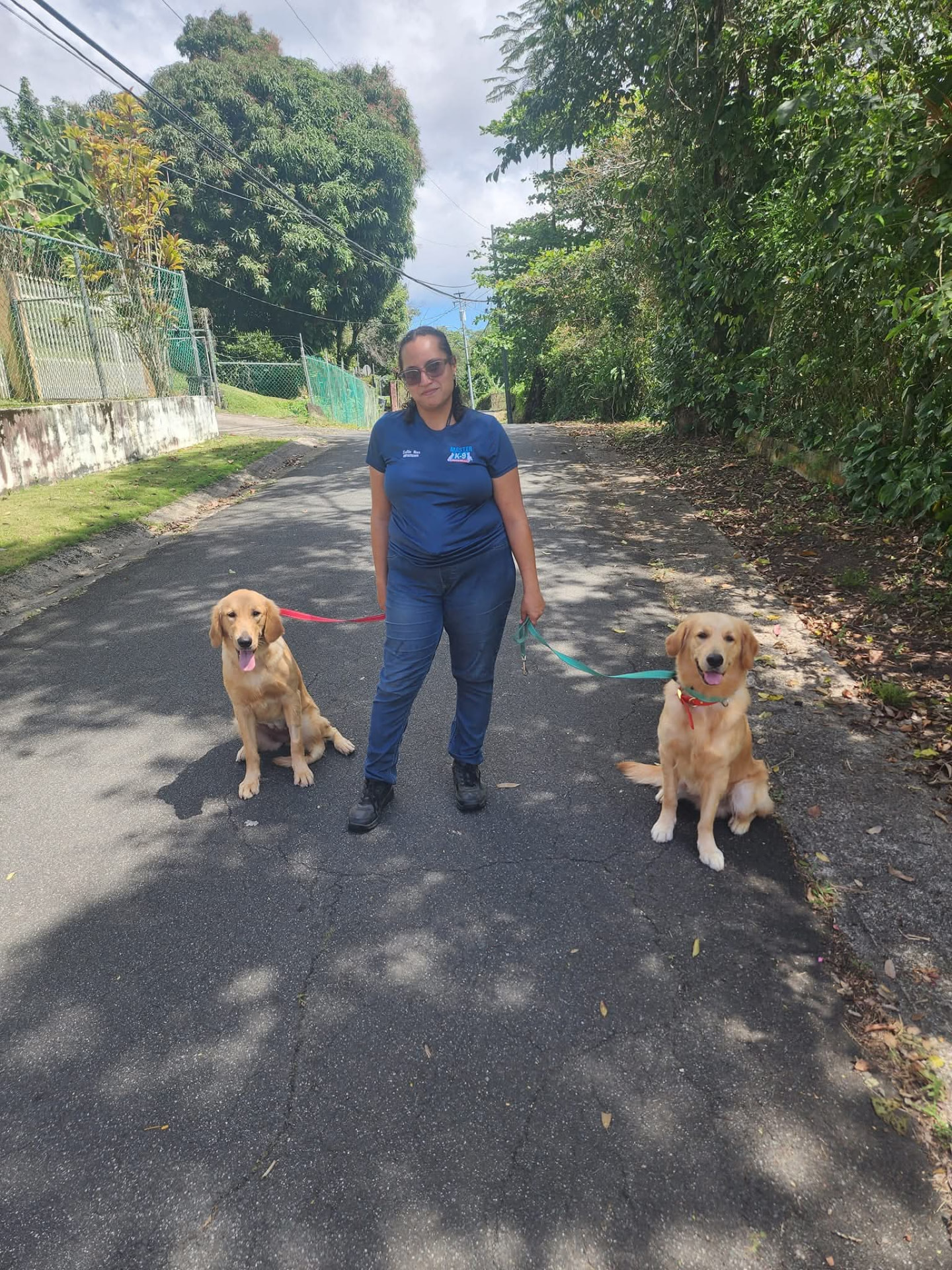 Entrenadora paseando con dos golden retrievers